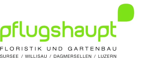 pflugshaupt cmyk 2020 1